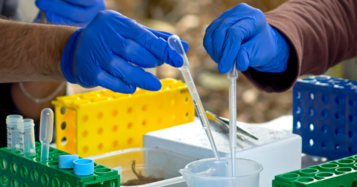 Descarbonização de micro e pequenas empresas_ plano do Sebrae na COP30